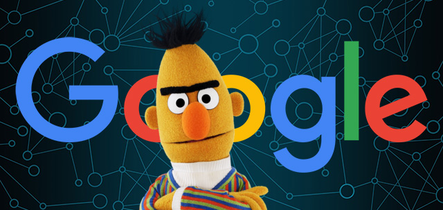 Google Bert Algo